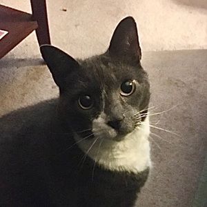 Meet your Posher, Alison